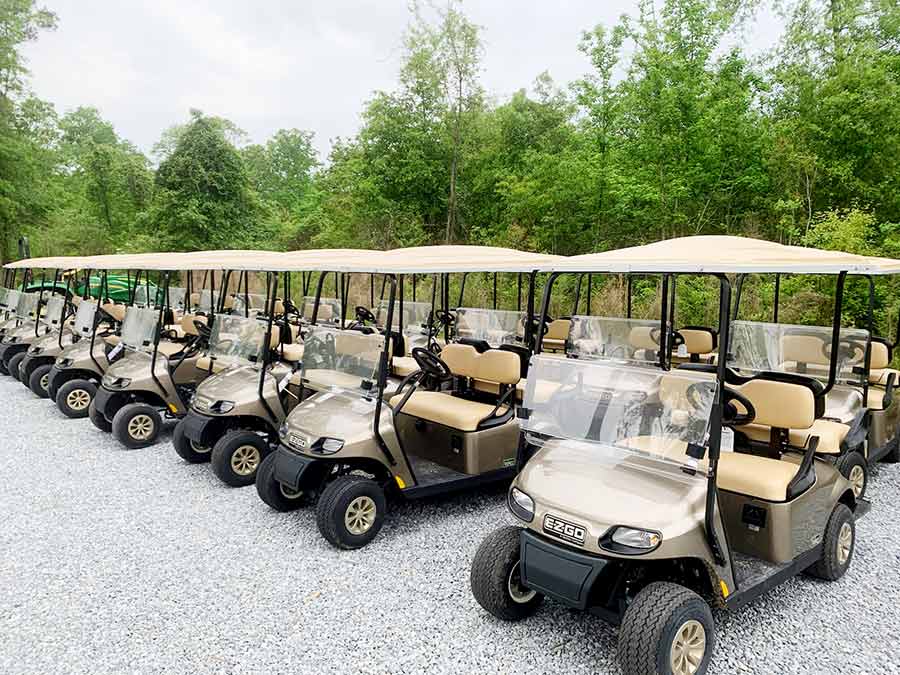 Anna Maria golf carts